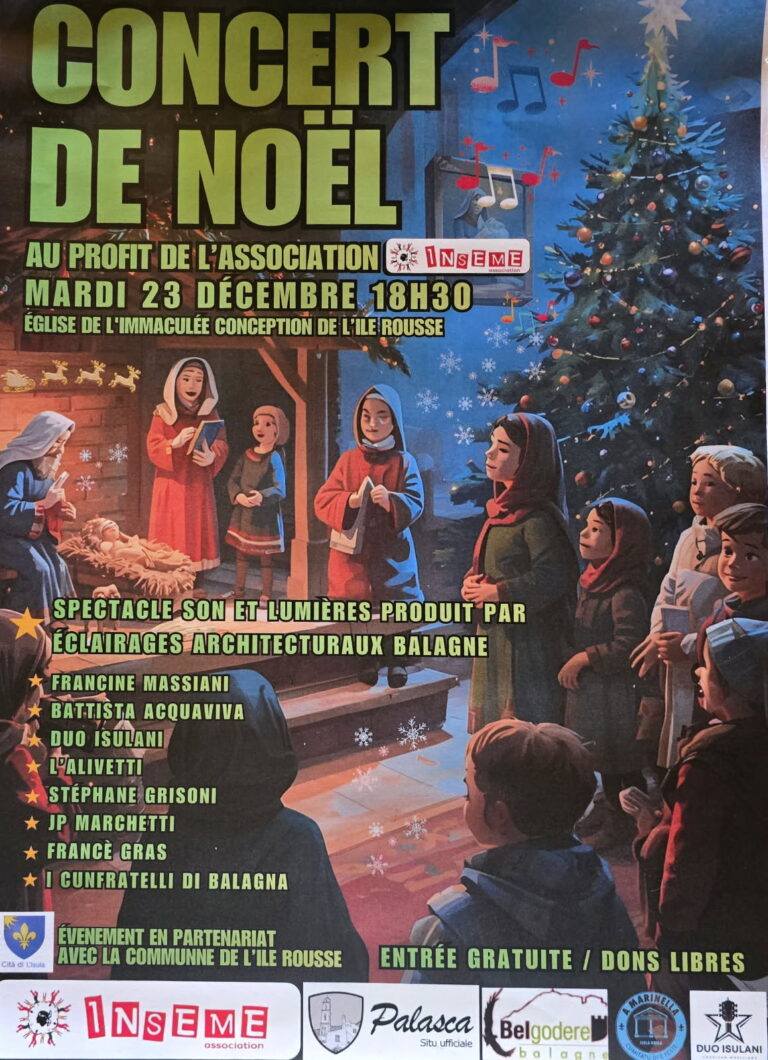 Concert de Noël au profit de l'association Inseme