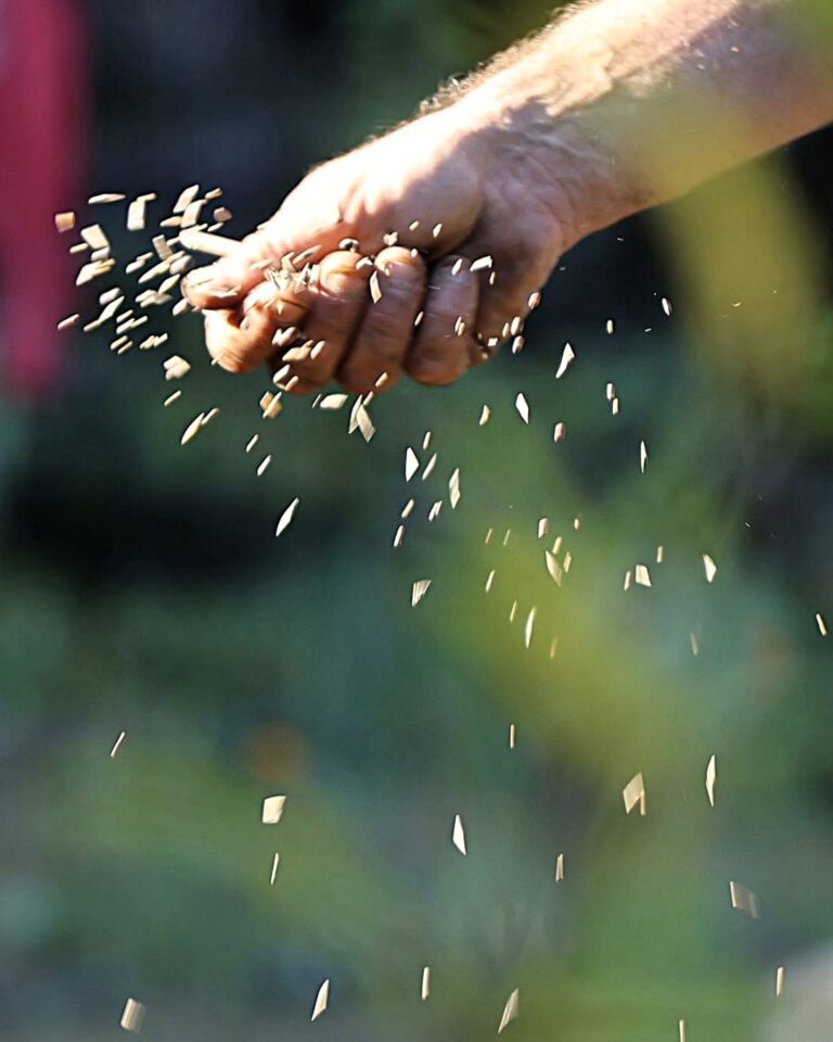 Atelier Semis avec Granagora