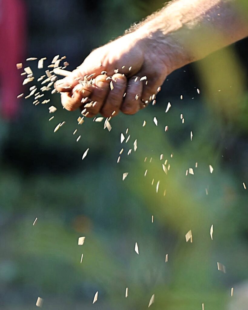 Atelier Semis avec Granagora