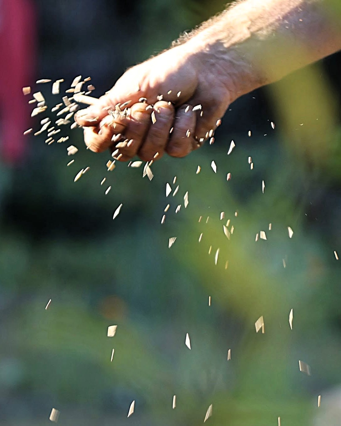 Atelier Semis avec Granagora