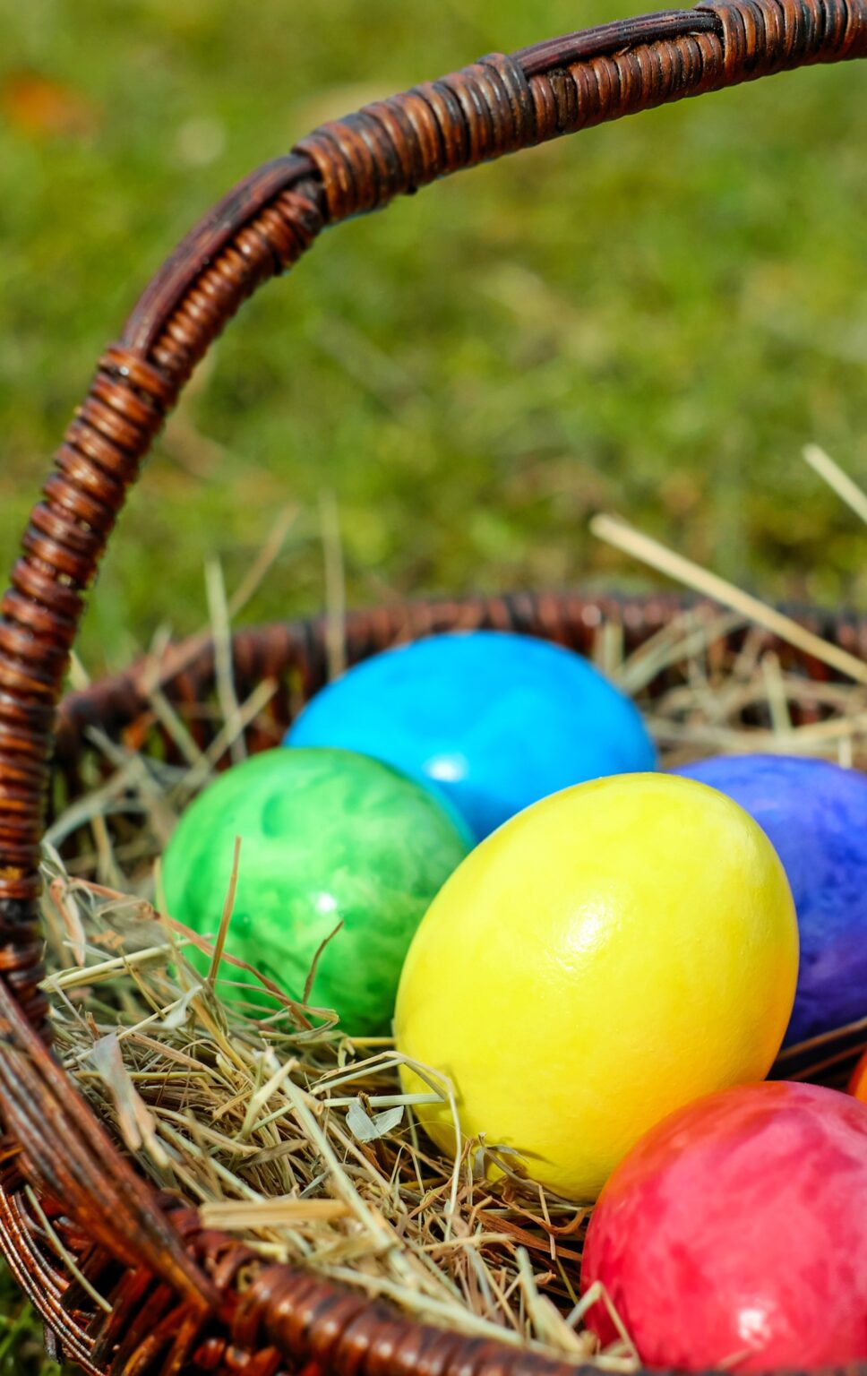 Pâques au Parc de Saleccia