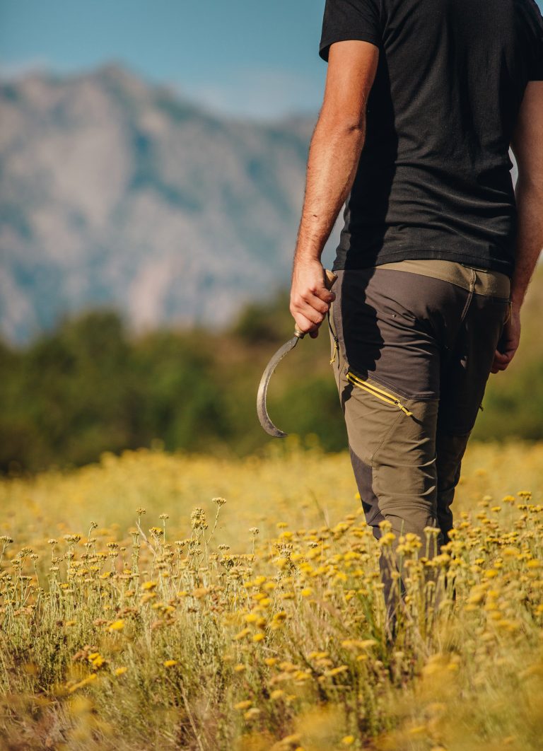 Tesoru di Machja   producteur d'immortelle corse