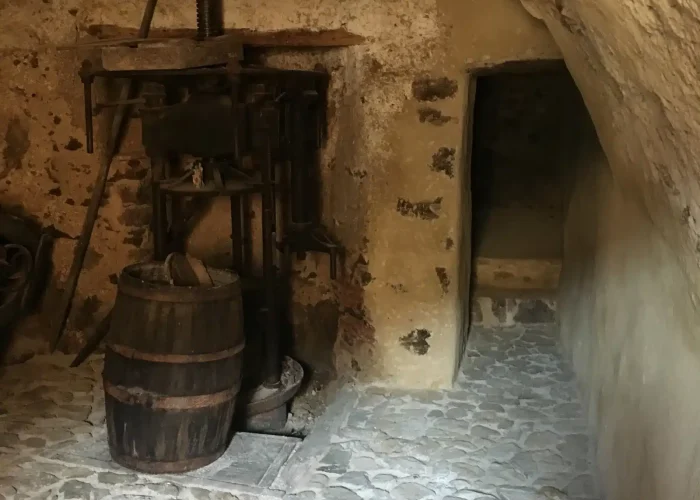 belgodere-un-fragnu-di-a-casa-vincentelli