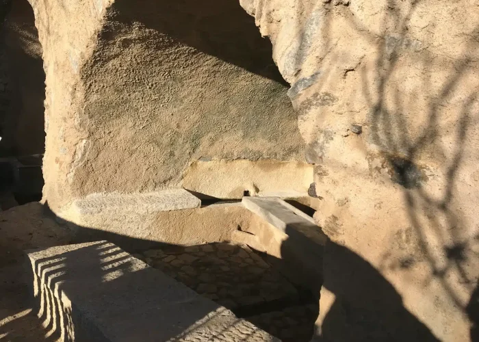 olmi-cappella-a-funtana-di-l-acquilacce