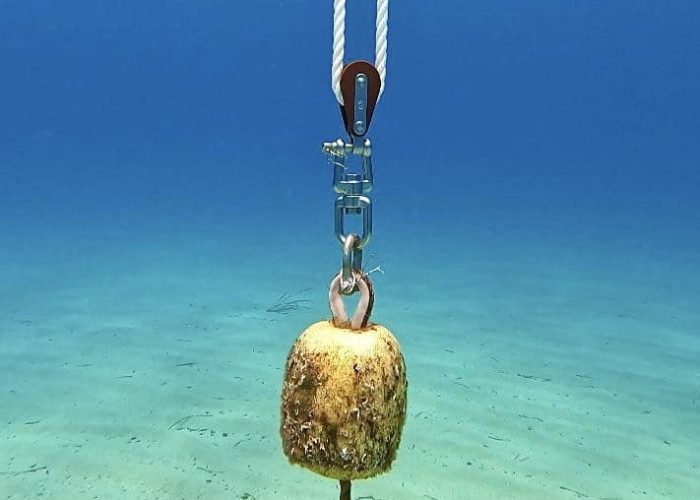 PHOTO-2023-06-14-17-09-23