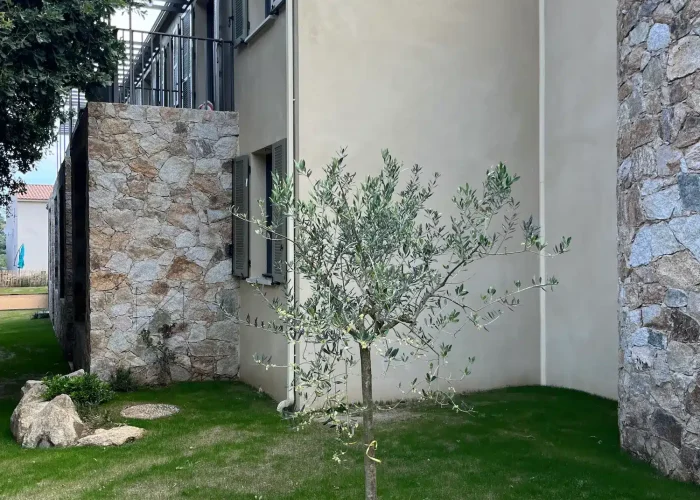 residence-autonomie-3